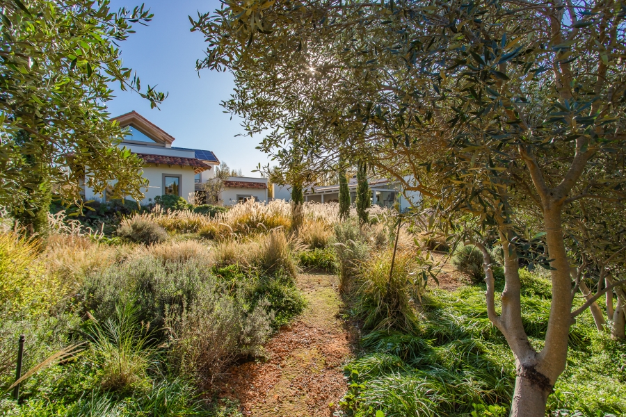 4 Bedroom Property for Sale in Winelands Western Cape